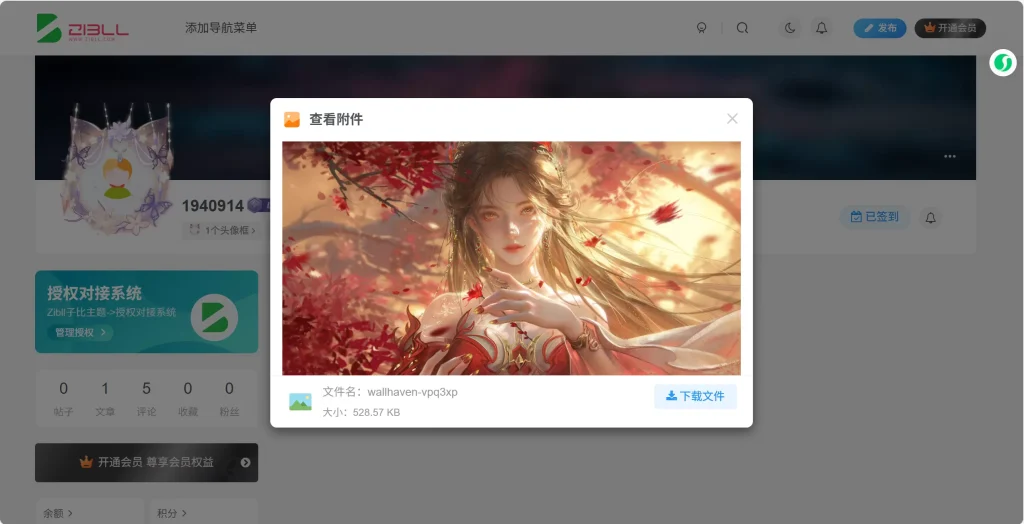 图片[3]-子比主题-前台用户媒体管理插件（第二款）-子比资源网